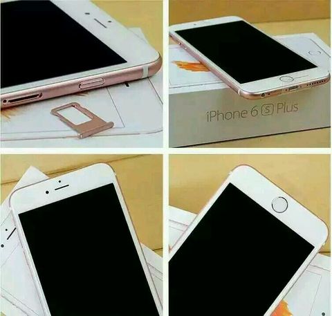 ����6s/p��