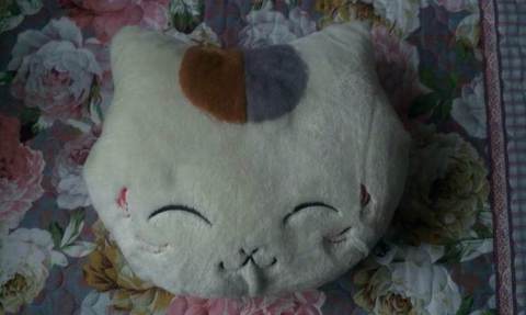 tieba_4857351936_959f349431df4866.jpg