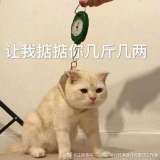 ���²ۡ�ûǮ��nm��cos