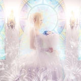 Fate����ʮ���껨��COS�����Ѵ����Ȣ��������������Ը��������