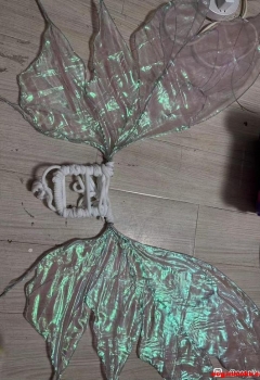��COS��Ƭ����������û�з�������ѽ��