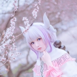 COS��Ƭ��������