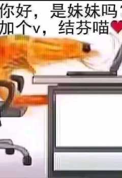 ��COS��Ƭ���������ʡ�