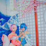 cos��Ƭ���������