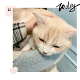 ���ɳ��ƻá�c��/�����ܱ�/��/����