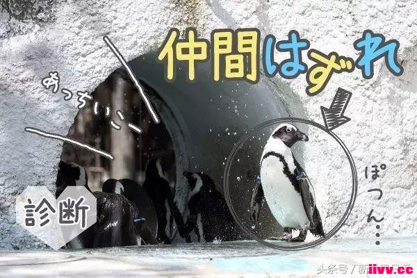 ������������һ�����ͻ�ըë����Щ��̫ʧ���ˣ�