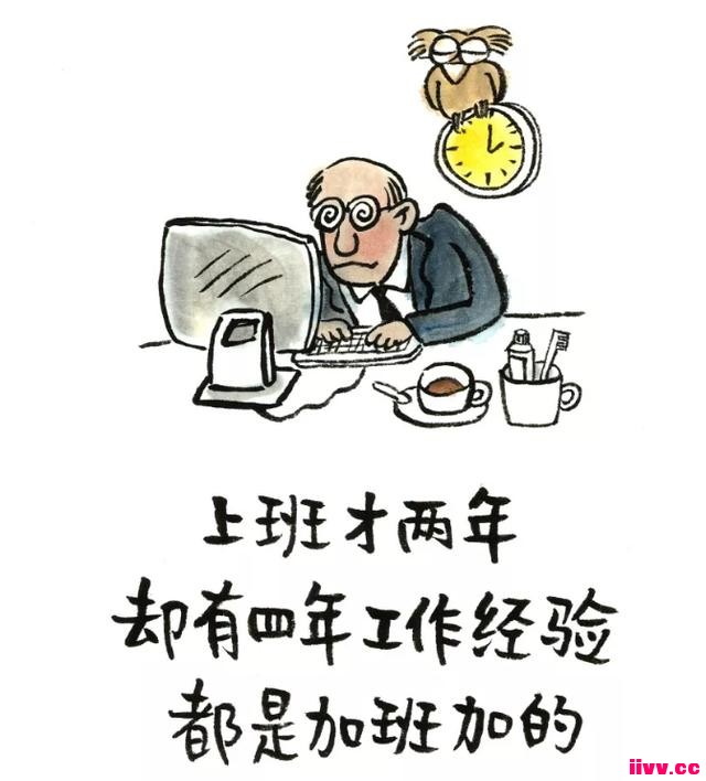 �������磺�������붾����