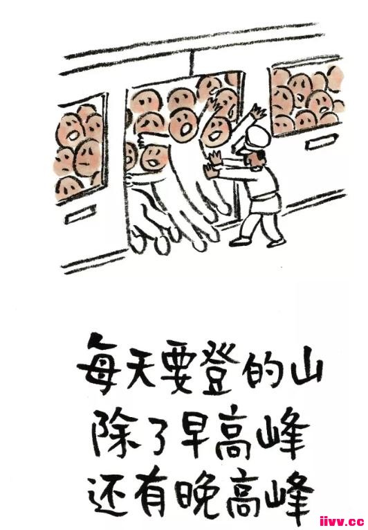 �������磺�������붾����