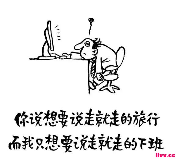 �������磺�������붾����