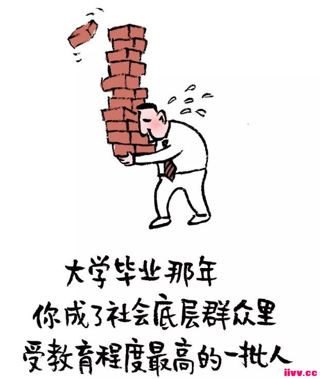 �������磺�������붾����