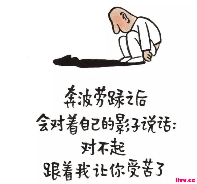 �������磺�������붾����