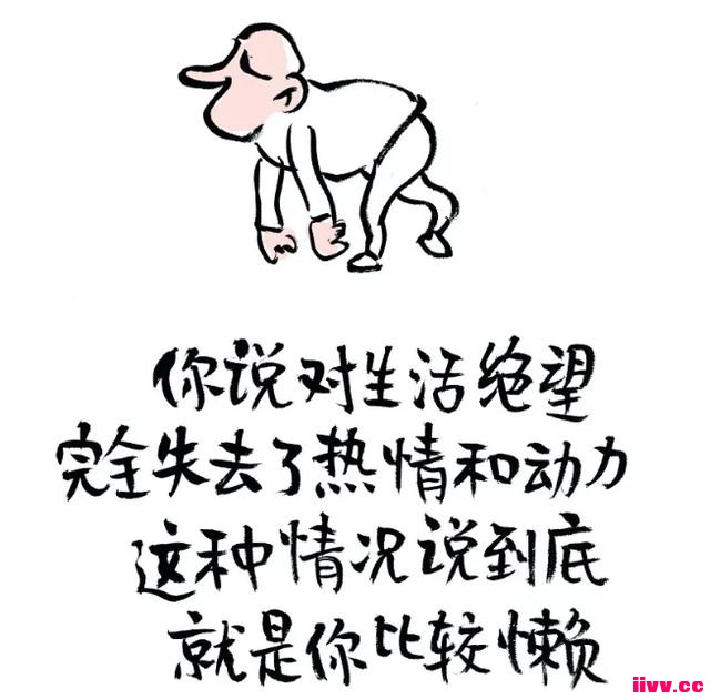 �������磺�������붾����