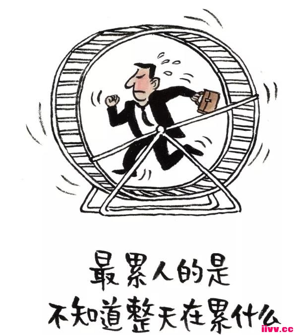 �������磺�������붾����