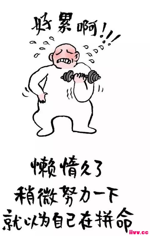 �������磺�������붾����