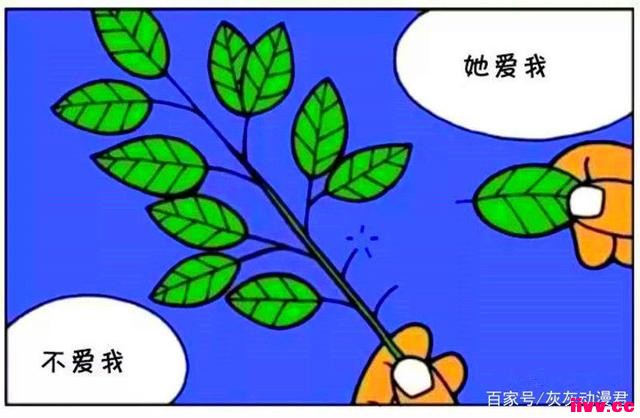 �����������Ʒ����һ�����ʧ����Ӱ�����ѣ�̫��·������ѧ��