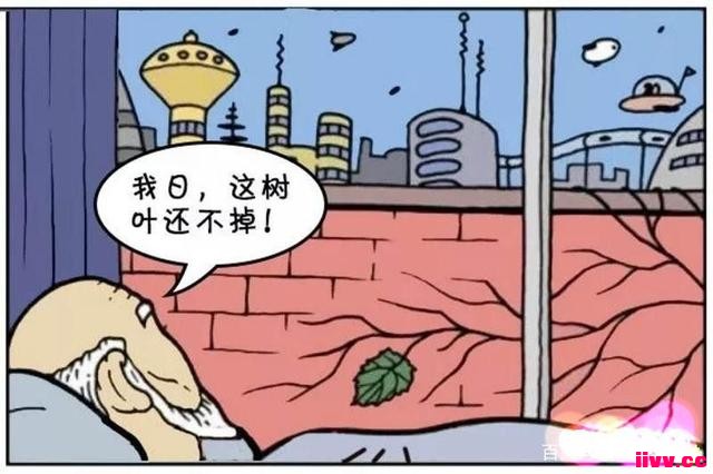 �������������������������Բ��ڴ���һƬ��Ҷ���50�̫꣡�޽�