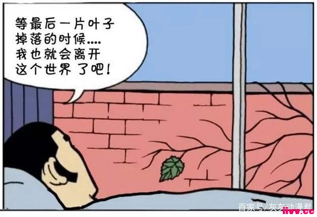 �������������������������Բ��ڴ���һƬ��Ҷ���50�̫꣡�޽�