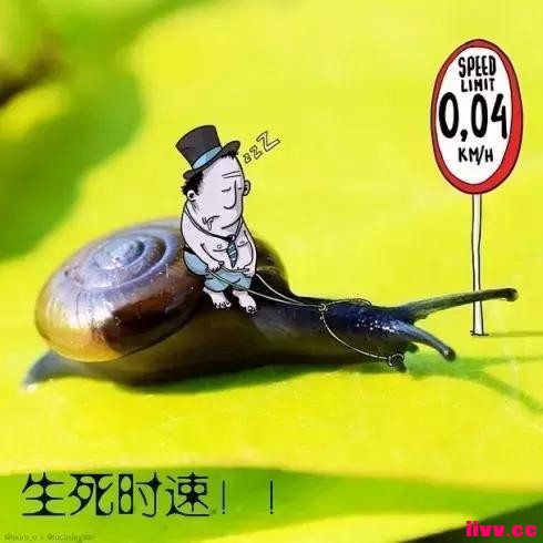 �����ӽ����������˵�������ʵ