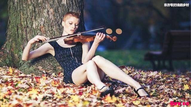 С���ӽ����ĸ���跿��������д�ġ��������������ط�Կ��
