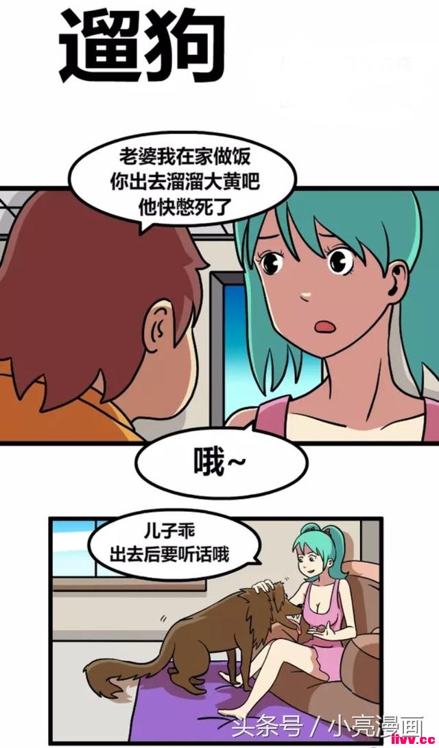 �������޹�