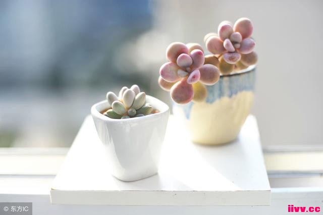 ��������˵˵���������֮�� ������겻������