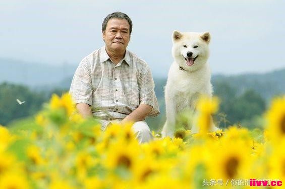 ���ò��Ƶ��վ��ů�Ķ�ƪ����ʧҵ�Ĵ�����������Ԫ��ӣ��С����