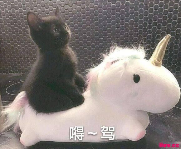 pann���飡��iKON�����˰�Ⱦ��̫�ر�ɣ�