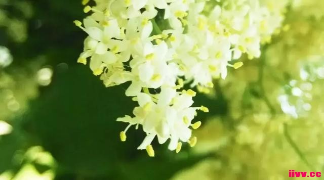 ��5����ٻ�ϰ�ߣ����ú���Խ��Խ�����ҳ�ע���ˣ�