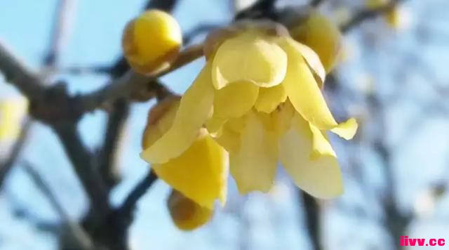 ��5����ٻ�ϰ�ߣ����ú���Խ��Խ�����ҳ�ע���ˣ�