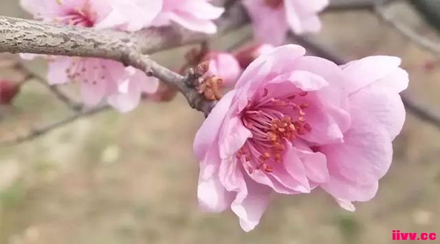 ��5����ٻ�ϰ�ߣ����ú���Խ��Խ�����ҳ�ע���ˣ�