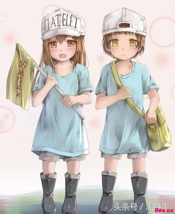 �����ŵ������������ζ�Ķ���������ϲ��������ѪС�壡
