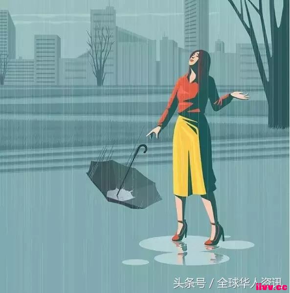 ���ģ�30�Ų廭��ins�������˵����������벻�������ᡭ��