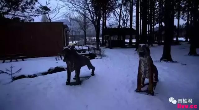 ��ʿɽʥ��Ѳ��