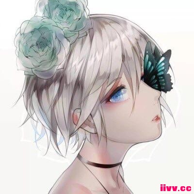 ���Զ�������/�ٺ�ͷ��/��ֽ
