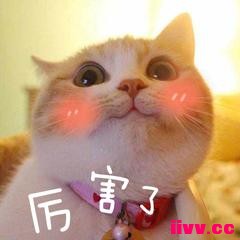 ս��Ӣ������һЩ���ܵ�����ʹ�÷�ʽ����֪�����٣�