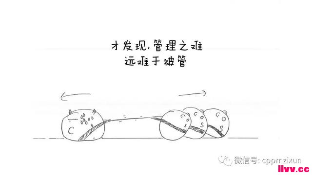 ��Ӧ���ճ�����-�����ɹ�ƪ