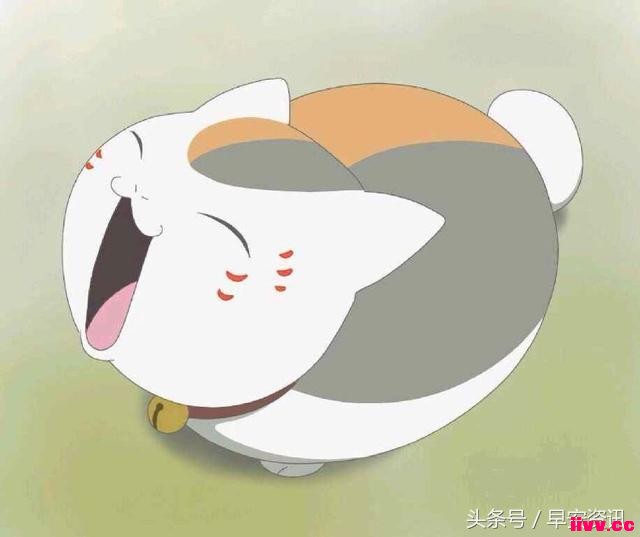 ���������Щ�ȳ��飬������ӵ��˭�أ�
