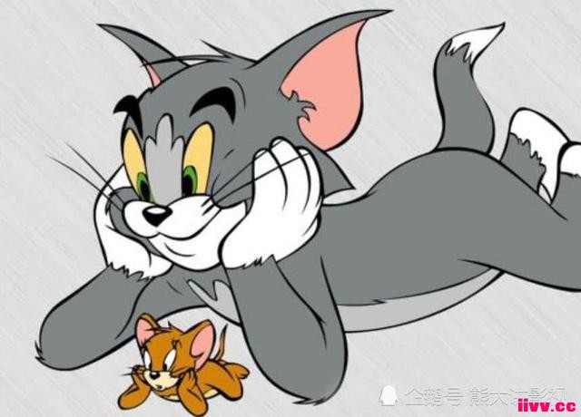 ������ֻè����ķ���ձ���ֻè�ж���A�Σ��й���ֻè�С���