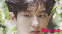 �������Ѿ���ʱ�ˣ��������о�������̩������ϰ񣬵�3�˼侫��