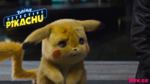������ҵ��Ѷ����Ƥ������ë���������������� ȫ������鲻��