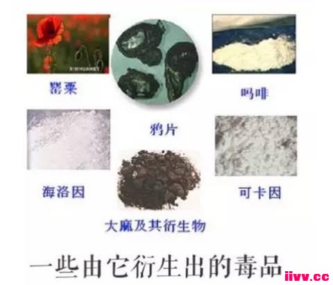 һ�����������㣺ǿ�ƽ䶾��������ô���¶�
